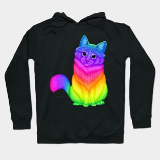 Neon Rainbow cat Hoodie